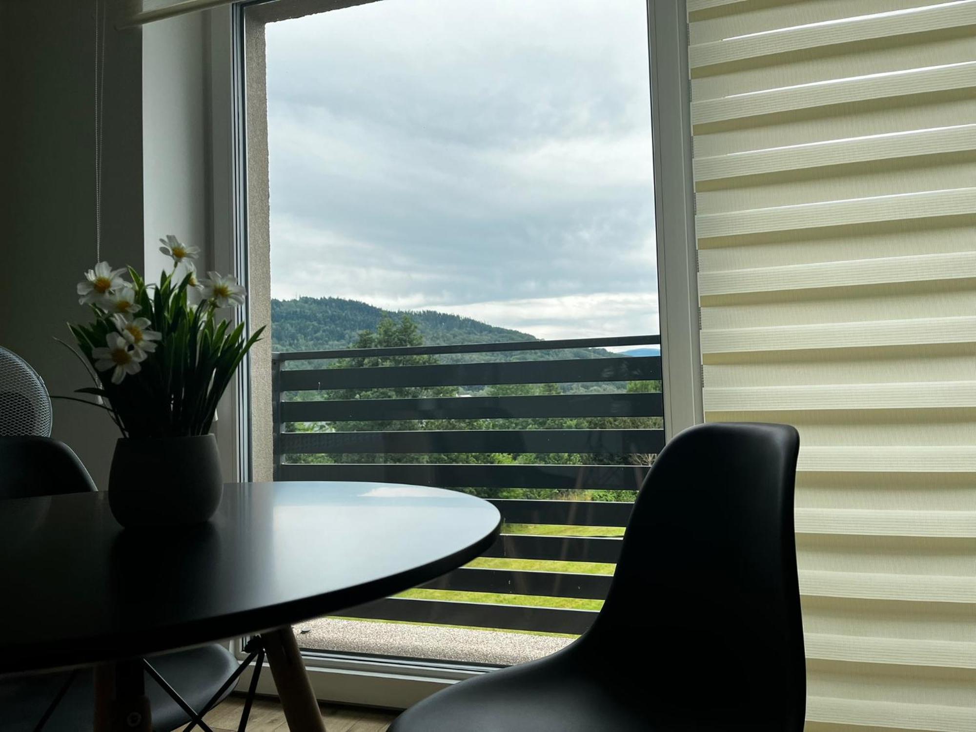 Beskid Rest Apartments Zywiec Exterior photo