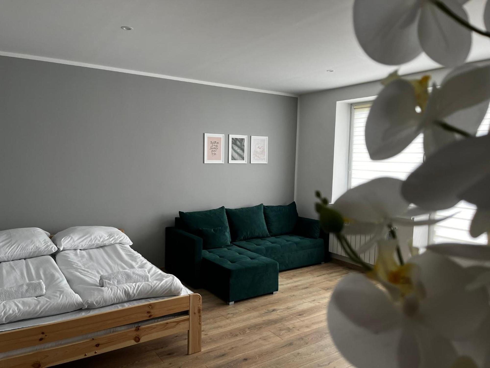 Beskid Rest Apartments Zywiec Exterior photo
